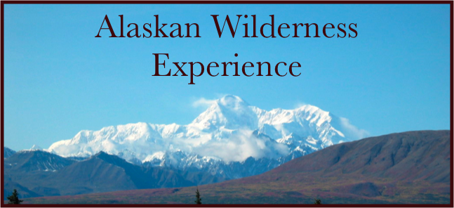 Alaskan Wilderness 
Experience