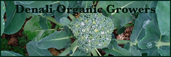 Denali Organic Growers