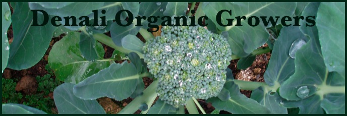 Denali Organic Growers