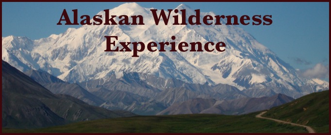Alaskan Wilderness 
Experience
